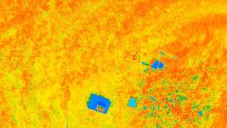 NDVI Cfm Post processing using FIJI software [upl. by Nevar]