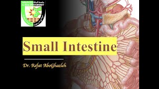 Anatomy of Small Intestine Duodenum Jejunum and Ileum [upl. by Nabalas375]