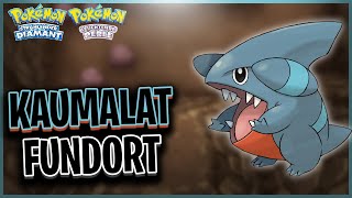 KAUMALAT Fundort in Pokémon Strahlender Diamant amp Leuchtende Perle [upl. by Nnaer]