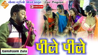 Part9  Pile Pile O More Raja पीले पीले ओ मोरे राजा  Ganshyam Zula  Live Dandiyaras  2019 [upl. by Vihs112]