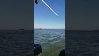 Galveston Bay  fishing the shipwreck [upl. by Nnewg]