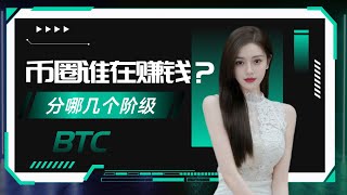 币圈到底谁在赚钱？币圈分哪几个阶级？加密货币 crypto 比特币 web3 eth [upl. by Henryk]