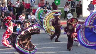 Cinco de Mayo Celebration [upl. by Mars]