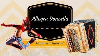 Allegra Donzella ORGANETTO Polka [upl. by Ellevart]