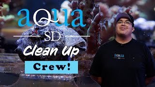 Aqua SD Youtube Video 5  Clean Up Crew [upl. by Hump219]