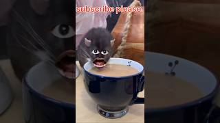 Billi ne meri chai Pi Li kapde mein se aur chai Ko faila Diya cat 🐈😺 comedy billi cats funny [upl. by Lemra187]