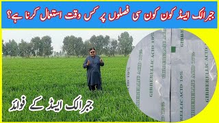 How to use Gibberellic acid all Crop information Wheat vegetable and garden farming [upl. by Zenda476]