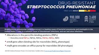 CommunityAcquired Pneumonia Objective 4 [upl. by Costa592]