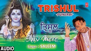 Trishul I SALEEM I Punjabi Shiv Bhajan I Shiv Mere I Full Audio Song [upl. by Junette70]