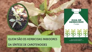 CONHEÇA OS HERBICIDAS INIBIDORES DE CAROTENOIDES [upl. by Terina893]