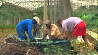 Reportage sur lîle de Mayotte [upl. by Antsirhc]