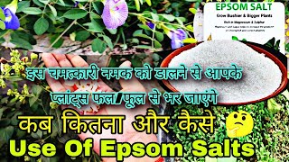 चमत्कारी नमक Epsom salt के बारे में सम्पूर्ण जानकारीEpsom Salt On Plant How To Useepsomsaltgarden [upl. by Geier]