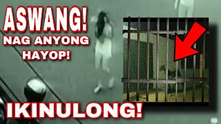 ASWANG NAG ANYONG HAYOP NAHULI NG MGA TAO AT IKINULONG [upl. by Narret]