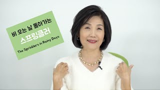 비 오는 날 돌아가는 스프링클러 인생의 조절장치 새해를 하루 앞두고 우선 멈춤과의 만남 삶의 리셋버튼 희망의 새출발카카오톡IDtvkoo [upl. by Lael933]