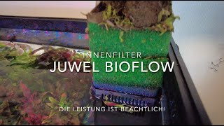 Juwel Bioflow Filter Ausbauen oder Nutzen Wie gut ist der Filter wirklich Praxistest 240 Liter Rio [upl. by Nolra]