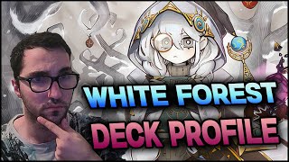 EL NUEVO MAZO DE SINCRONIAS DEL META  WHITE FOREST DECK Y COMBOS 2024 POST INFO [upl. by Bernice]