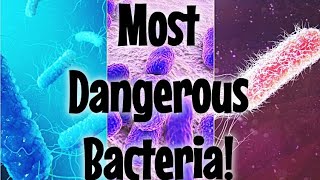 Most Dangerous Bacteria in the World Deadly Microbes You Should Know [upl. by Eldin485]