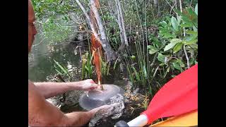 science experiment burning methane swamp gas [upl. by Lombardi]