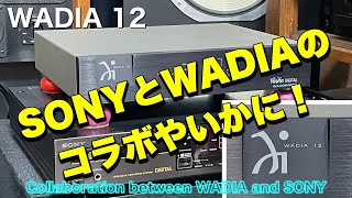 ■SONY CDP553ESDとWADIA 12の結合はどうでしょうか？ Combining SONY CDP553ESD with WADIA 12 [upl. by Burwell]