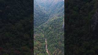 Zhangjiajie Grand Canyon Glass Bridge Bungee Jump [upl. by Cyrilla113]