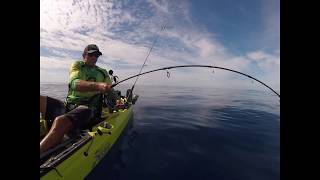 Huge Roughtail Stingray 200 lb released from kayak [upl. by Reeve588]