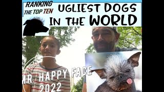 Ranking the Worlds Ugliest Dogs  So Ugly Theyre Cute [upl. by Ttelrats]