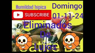 8 eliminados domingo 031124 la rinconada humildad hípica pronóstico [upl. by Netsyrc]