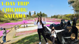 1day DIY Trip in Chichibu Saitama  Hitsujiyama Park  Paleo Express  V008 ENGLISH [upl. by Mw]