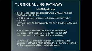 Toll like Receptor signalling pathways  MyD88 pathway [upl. by Egres628]