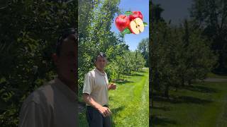 Apple Growing Mistake fruit garden [upl. by Verbenia414]