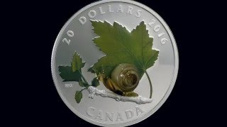 1 oz Fine Silver Coin – Venetian Glass Snail [upl. by Eisnil367]