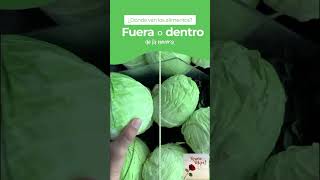 CLASIFICACIÓN Y ALMACENAMIENTO DE ALIMENTOS vidasaludable alimentacionsaludable salud [upl. by Lot635]