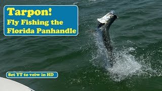 We Had Sooo Many Shots I Wasnt Ready When One Hit MY Fly Fly Fishing the FL Panhandle for Tarpon [upl. by Marlow]