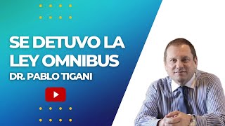 Se detuvo la Ley Omnibus ¿Qué podemos esperar [upl. by Pansie]