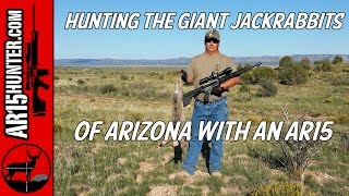 Hunting the Giant Jackrabbits of Arizona with an AR15 [upl. by Nedda]