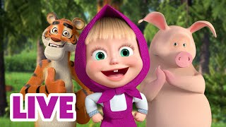 🔴 LIVE STREAM 🎬 Masha and the Bear 🤸‍♂️ Jump Skip and Hop together 🏃🙌 [upl. by Behm]