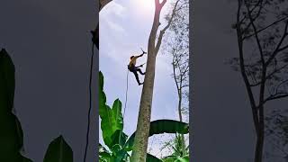 The guys tree climbing technique will improve your skills [upl. by Adnuhs]