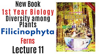 Filicinophyta Pterophyta ferns  Diversity among plants  class 11 biology sindh board new book [upl. by Reklaw]