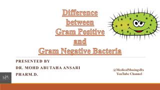 Grampositive vs Gramnegative ➕️➖️🤗🫡🙂‍↕️😌🤠🥸 [upl. by Eissak]