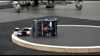 Mini Sumo at Robotex 2016 24 Dec in Tallinn Estonia [upl. by Enrak]