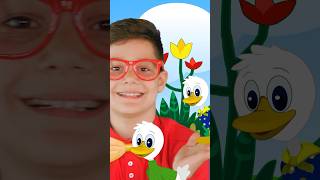 Five Little Ducks Top Song nurseryrhymes babysongs newmusic fivelittlemonkeys songforchild [upl. by Dyolf931]