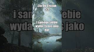 Wersety Biblijne  Werset Dnia 68 biblia Bóg ewangelia Jezus [upl. by Yrro]