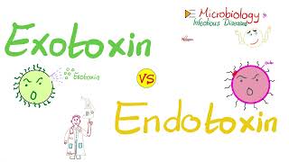 Exotoxins vs Endotoxins  Microbiology 🧫 amp Infectious Diseases 🦠 [upl. by Relyuc]