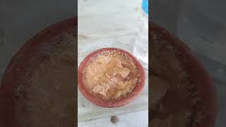 bengali mishtidoi eating yummy youtubeshorts [upl. by Davina]