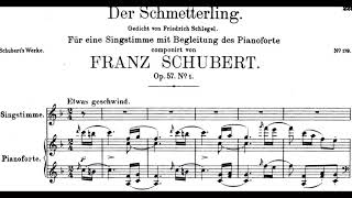 Der Schmetterling in F Major F Schubert Piano Accompaniment  Instrumental Karaoke [upl. by Ploch]