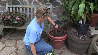 NWTC Landscape Horticulture Graduate Sarah Pingle shares her story [upl. by Anaillil]