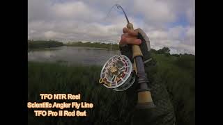 Fly Fishing for Juvenile Tarpon [upl. by Niobe]