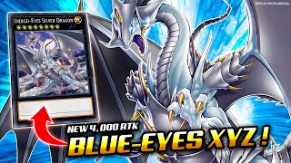 Deck BLUEEYES Post Advent of the Eyes of Blue ft INDIGOEYES SILVER DRAGON❗  Exordio [upl. by Malas271]