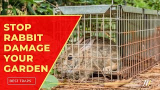 Best Rabbit Traps  Dont Let Rabbits Ruin Your Garden [upl. by Leggett]