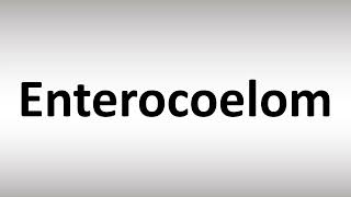 How to Pronounce Enterocoelom [upl. by Enimzzaj]